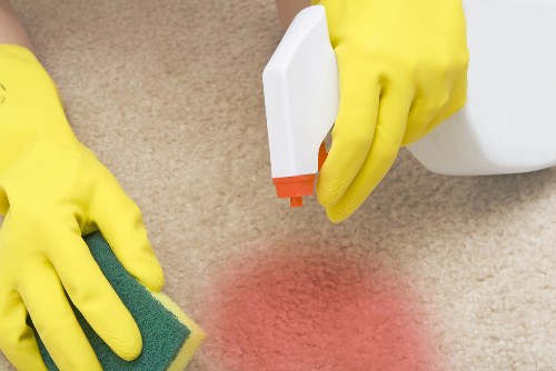 Inspection and treatment of a pet stain on a carpet in a Mayfair home