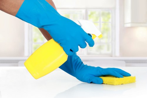 Professional window cleaning for Mayfair townhouses and apartments