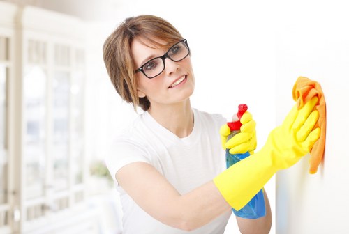 Mayfair cleaning accessibility statement opening image