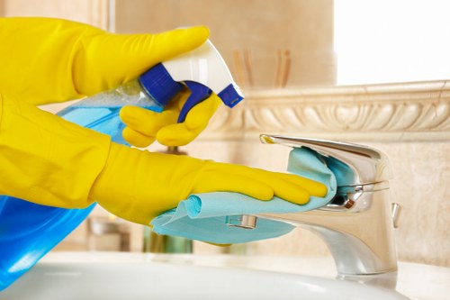 Steam cleaning process for carpets in a Mayfair property
