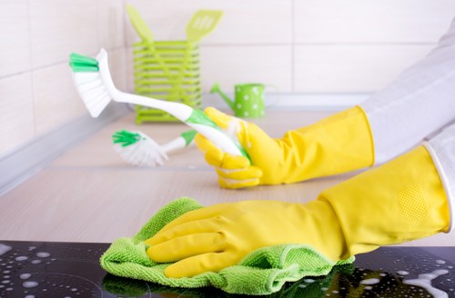 Mayfair regular cleaning visit for a luxury flat and shared hallway