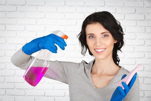 Detailed domestic cleaning visit for a central London residence